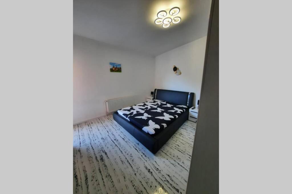 Apartament Erika シナヤ エクステリア 写真