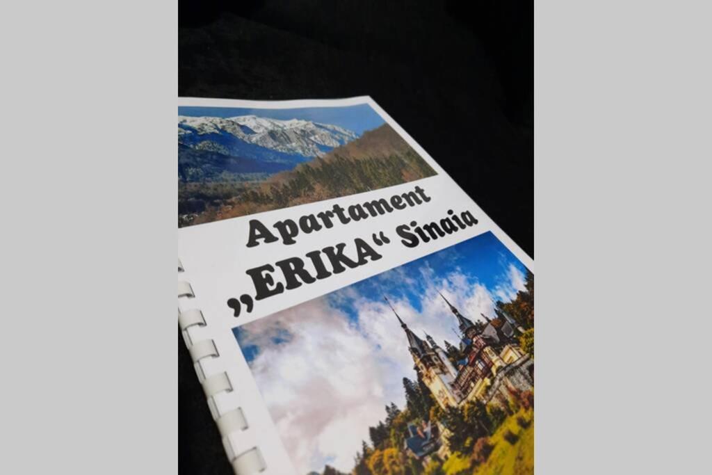 Apartament Erika シナヤ エクステリア 写真