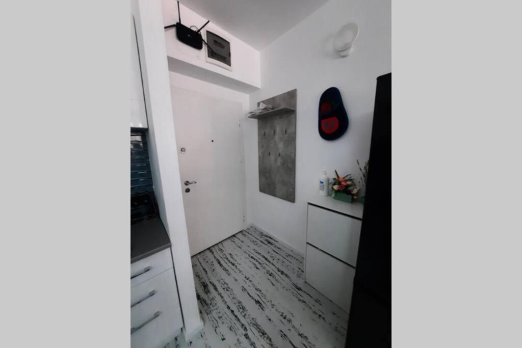 Apartament Erika シナヤ エクステリア 写真