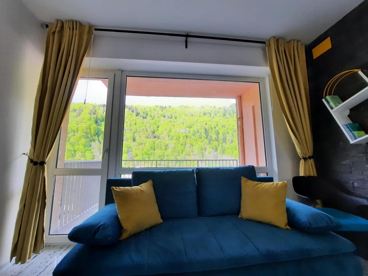 Apartament Erika シナヤ エクステリア 写真