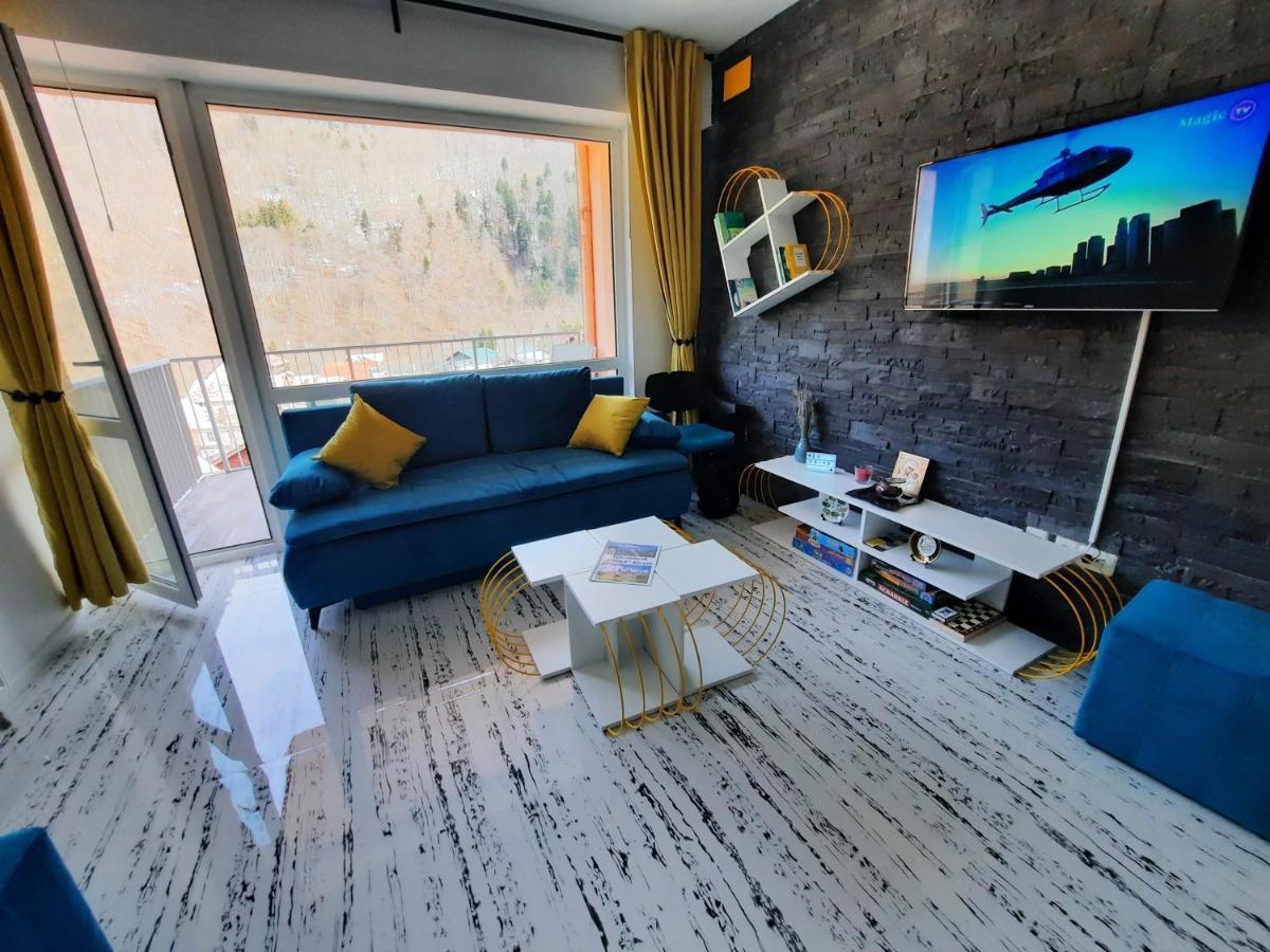 Apartament Erika シナヤ エクステリア 写真