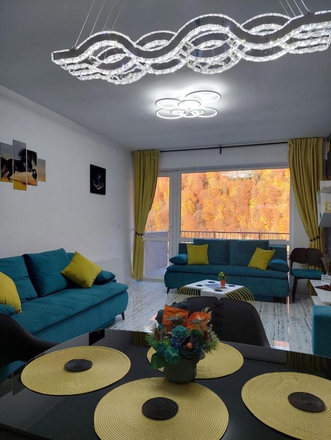 Apartament Erika シナヤ エクステリア 写真