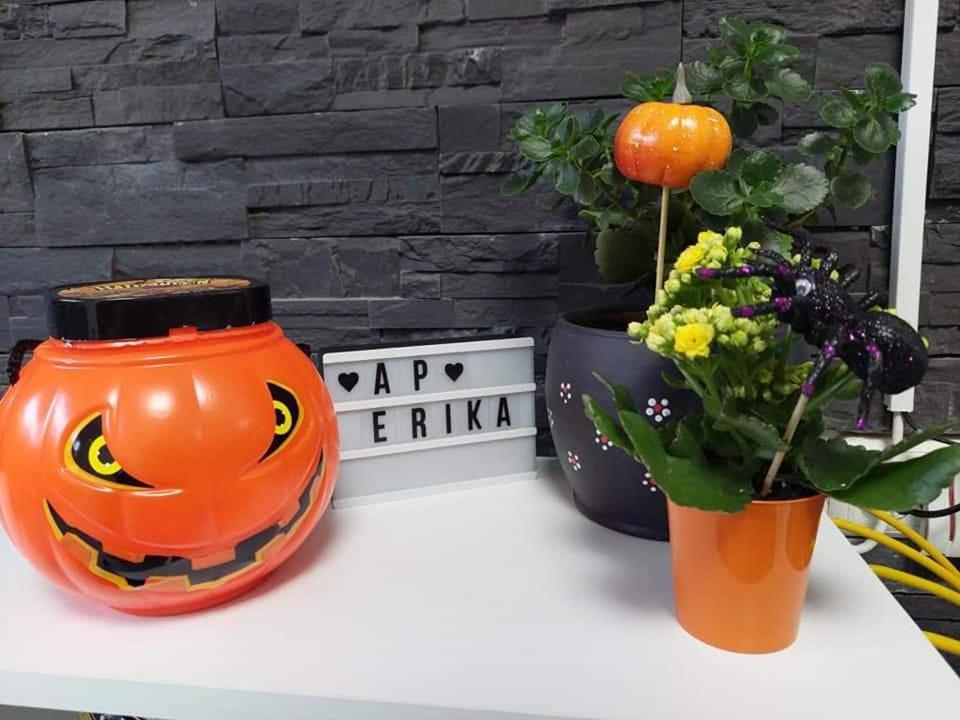 Apartament Erika シナヤ エクステリア 写真