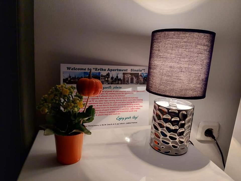 Apartament Erika シナヤ エクステリア 写真